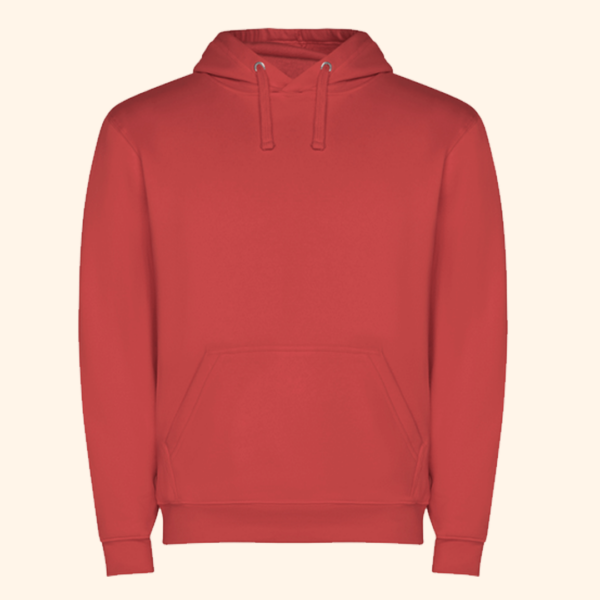 Sudadera con capucha - Imagen 4